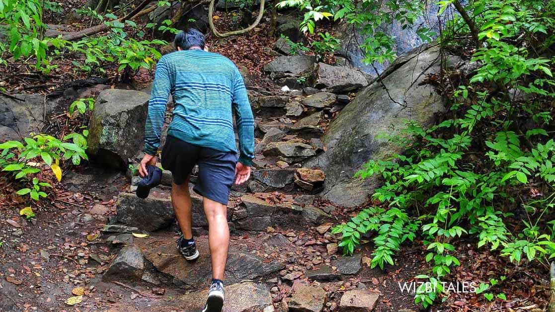 Nature Sanctuaries; Rediscovering Our Bond with Earth